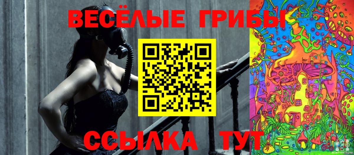Псилоцибиновые грибы Psilocybine cubensis  Вход с VPN  купить   Асино 