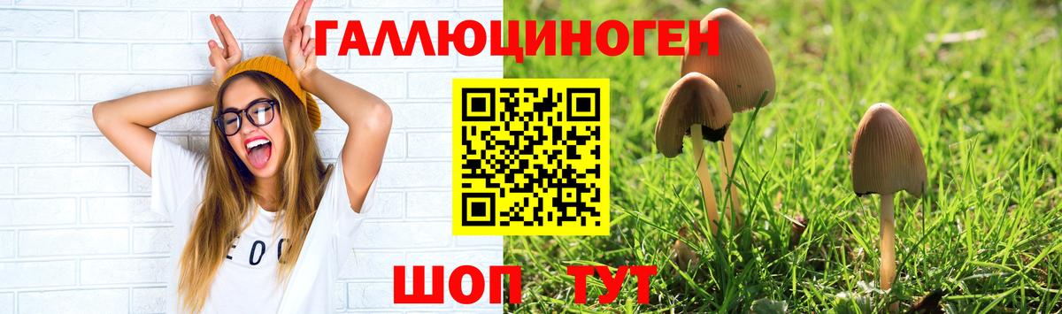 Галлюциногенные грибы GOLDEN TEACHER Асино